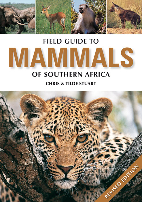 The Mammal Guide Of Southern Africa