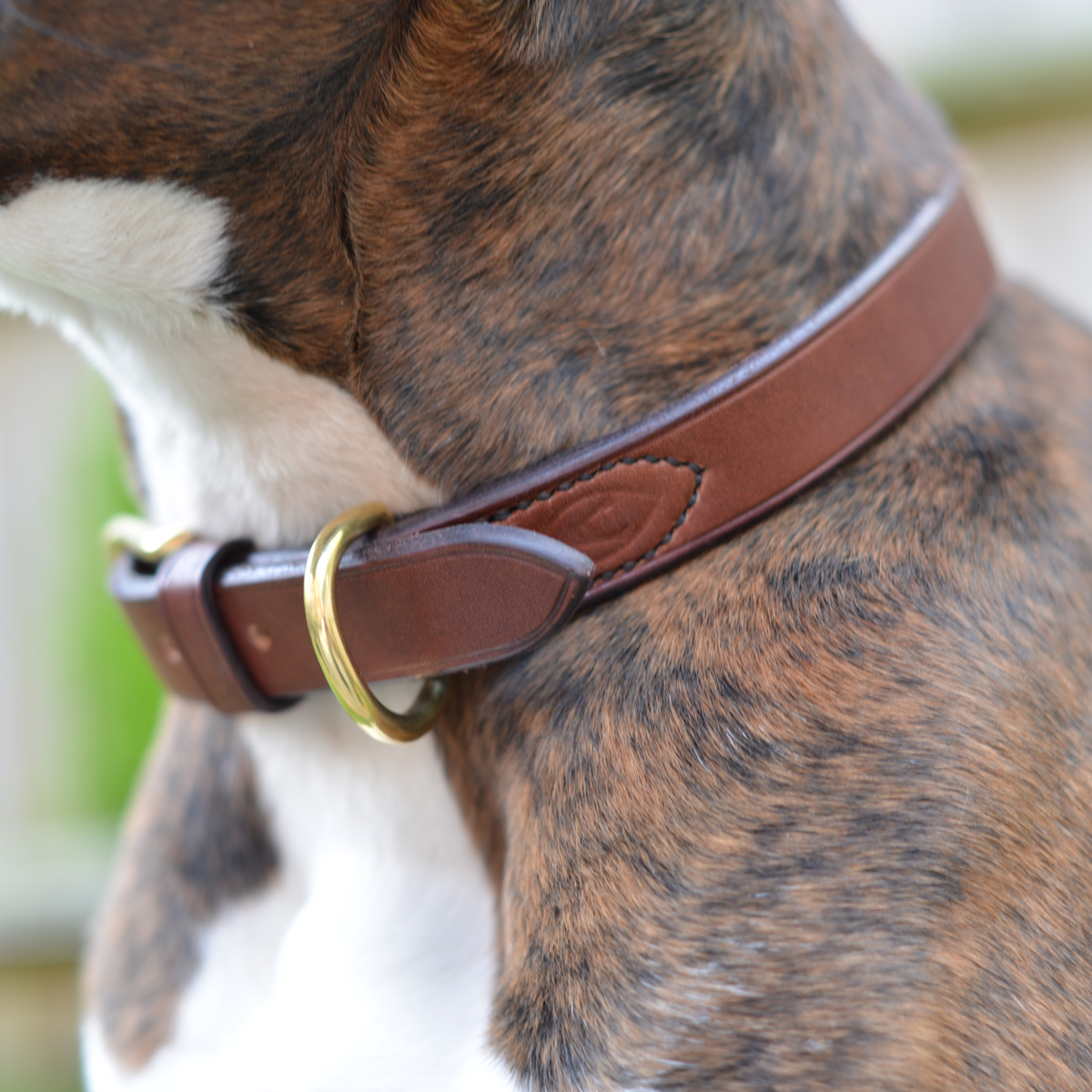 Ray Mears Leather Dog Collar