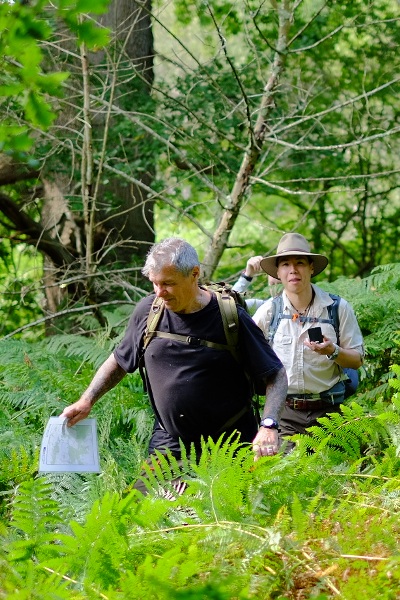 UK Woodland Navigation