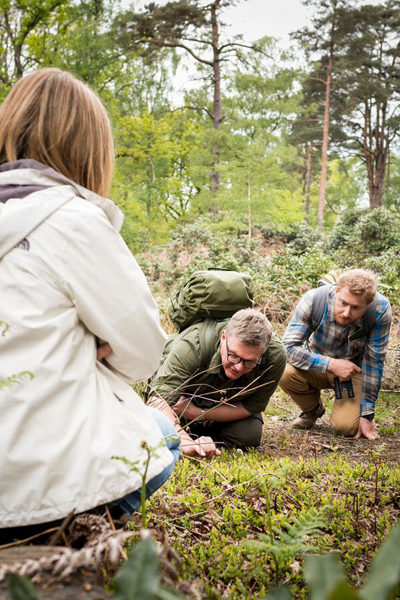Walk in the Woods with Ray Mears